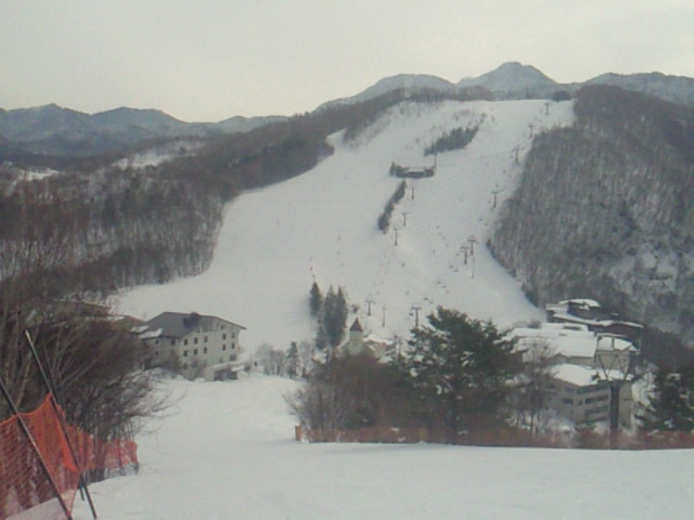 201102061023001.jpg