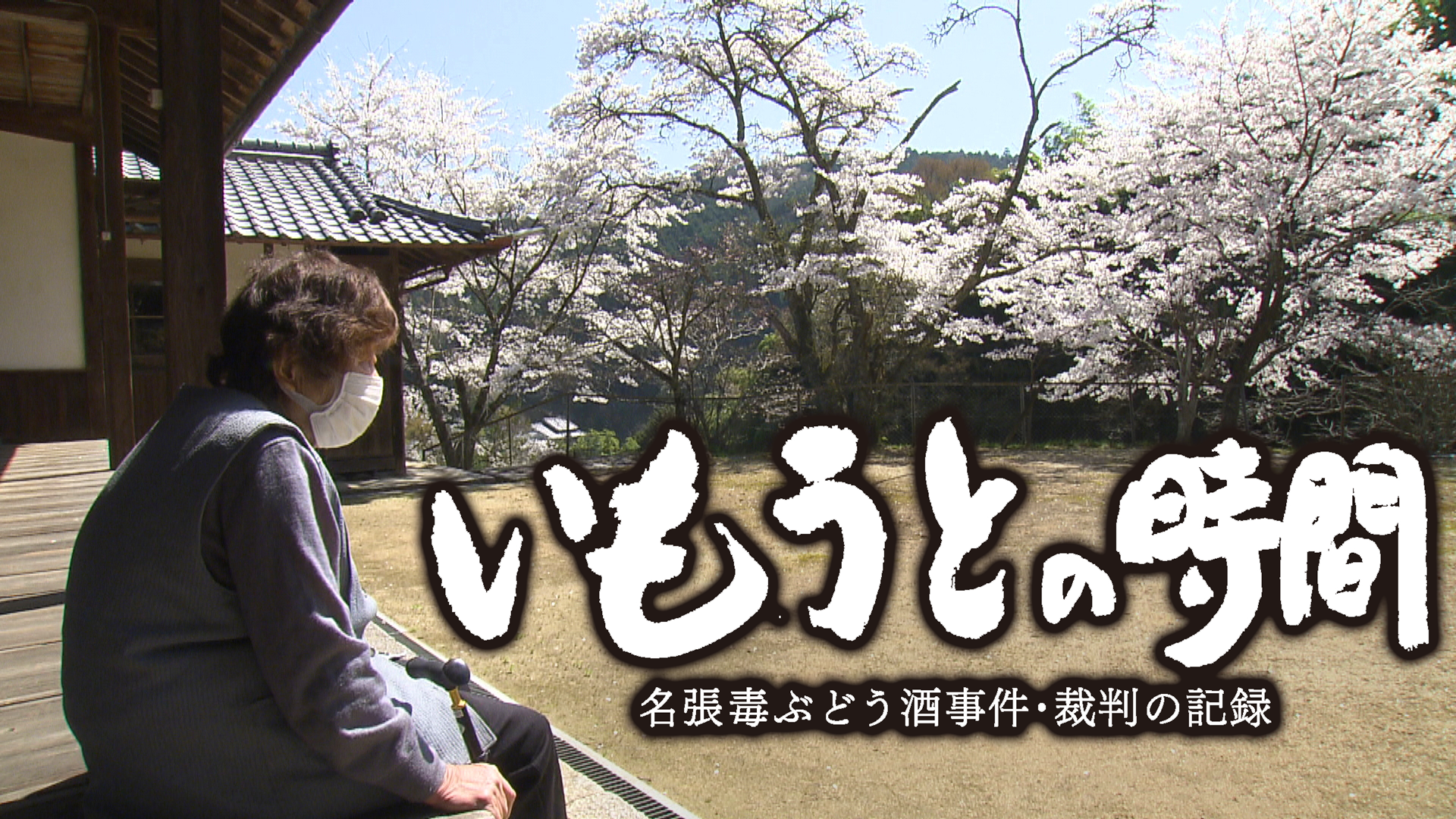 報道ドキュメンタリー