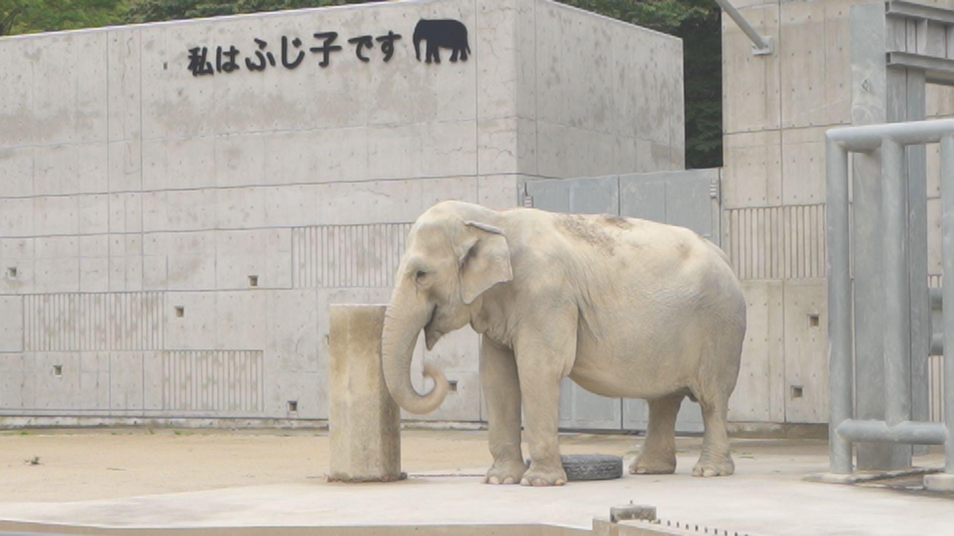 Finder Trip 東海テレビ