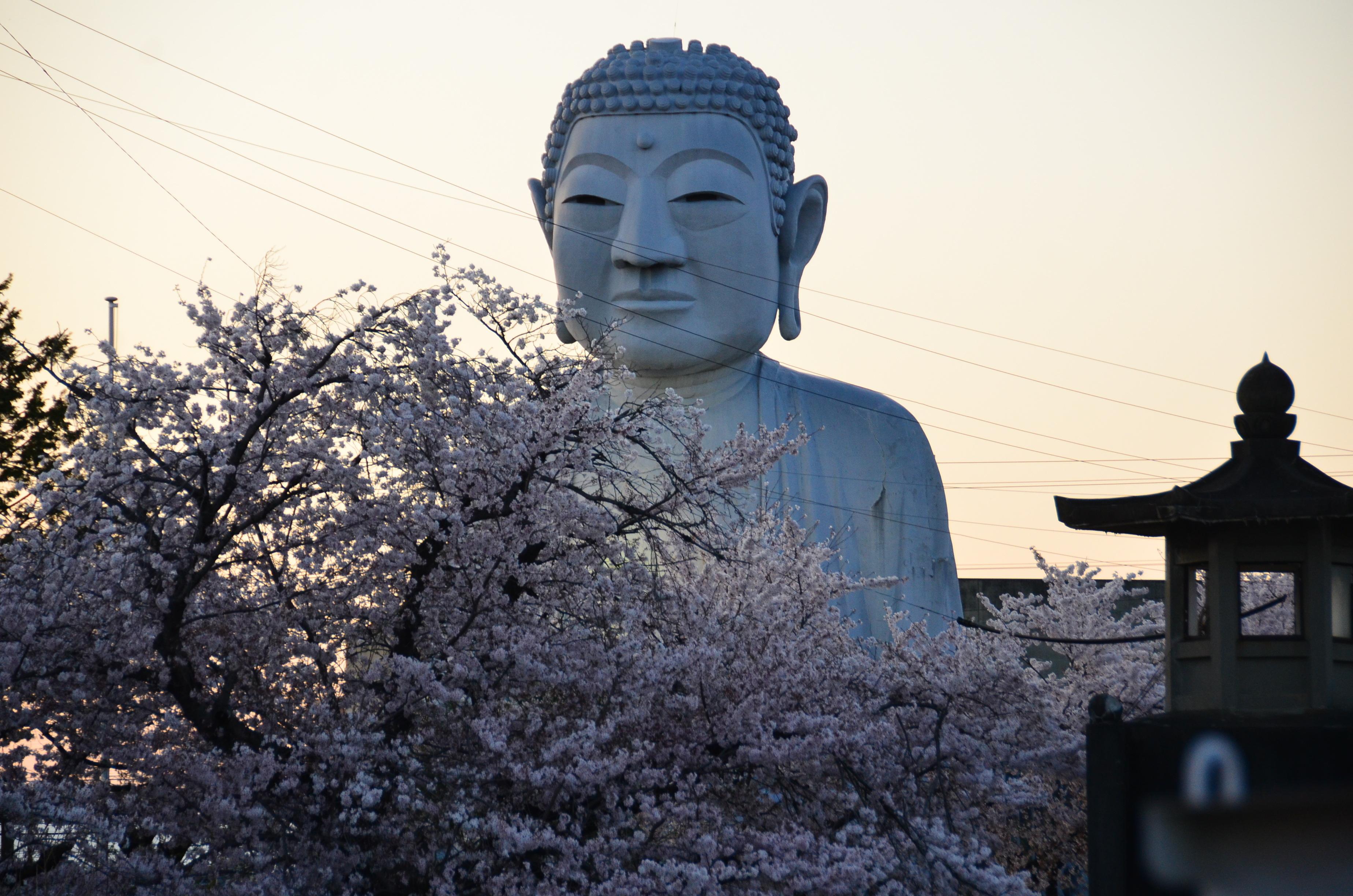 布袋の大仏