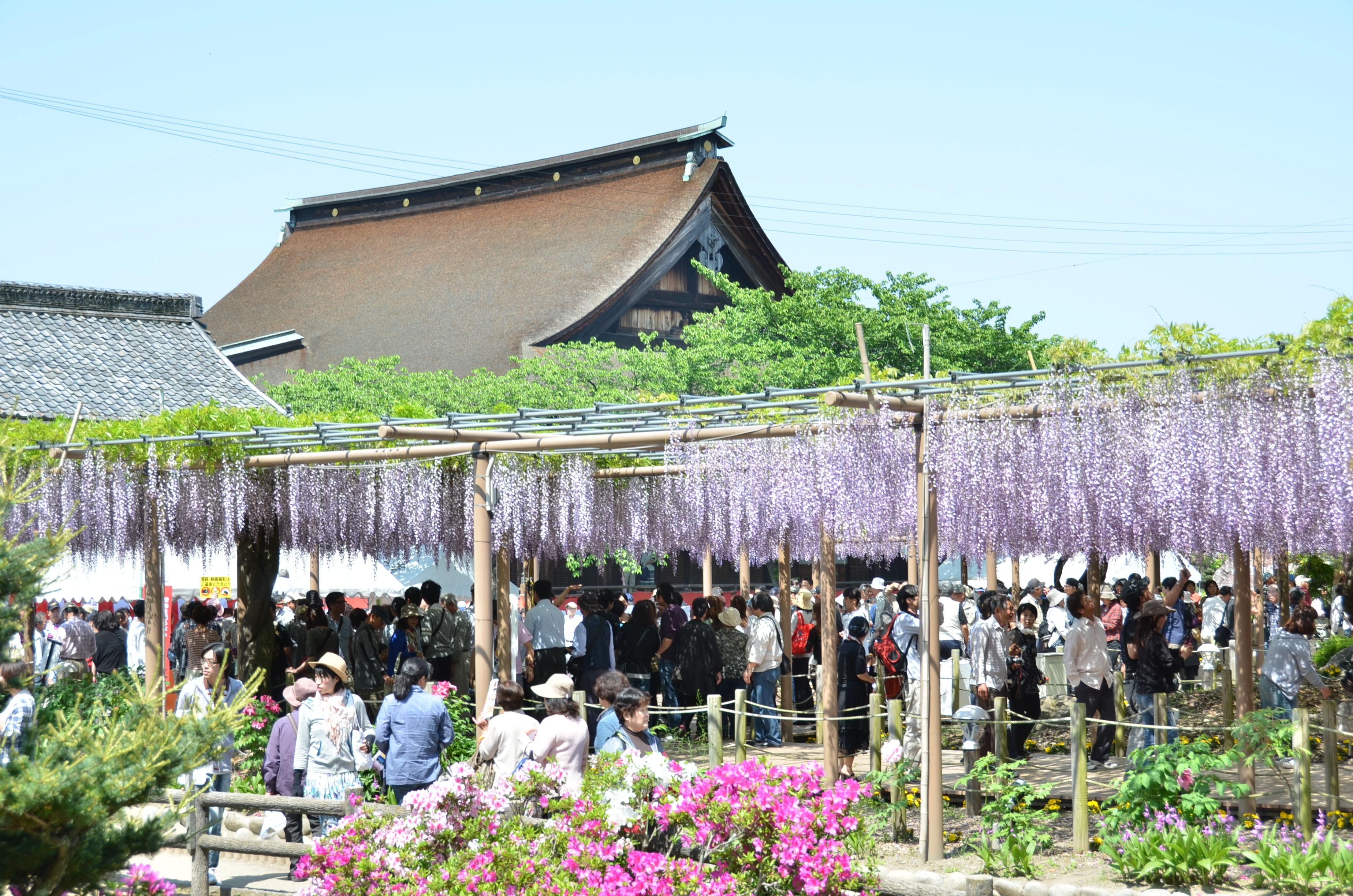 曼荼羅寺公園